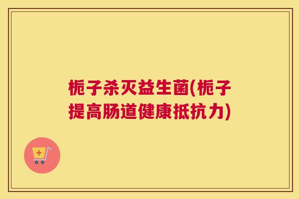 栀子杀灭益生菌(栀子提高肠道健康抵抗力)