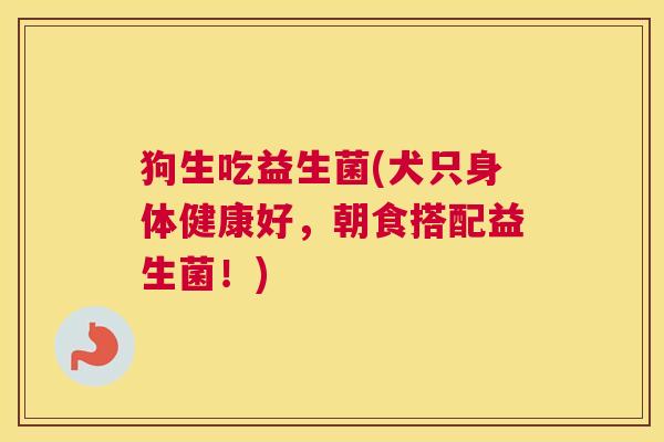 狗生吃益生菌(犬只身体健康好，朝食搭配益生菌！)