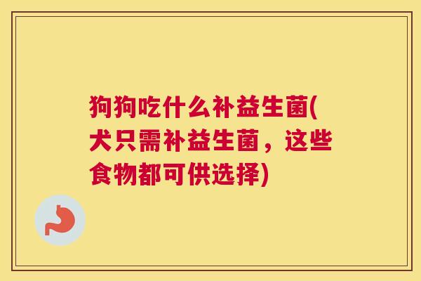 狗狗吃什么补益生菌(犬只需补益生菌，这些食物都可供选择)