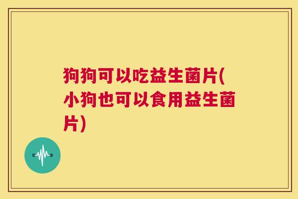 狗狗可以吃益生菌片(小狗也可以食用益生菌片)