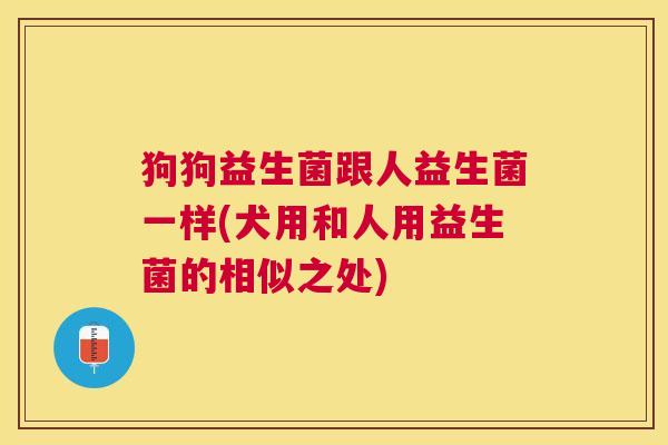 狗狗益生菌跟人益生菌一样(犬用和人用益生菌的相似之处)