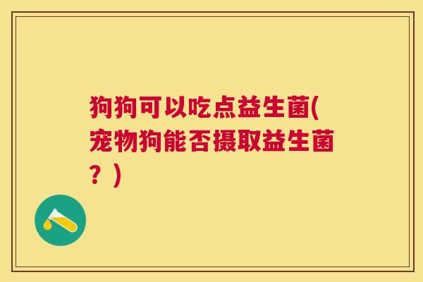 狗狗可以吃点益生菌(宠物狗能否摄取益生菌？)