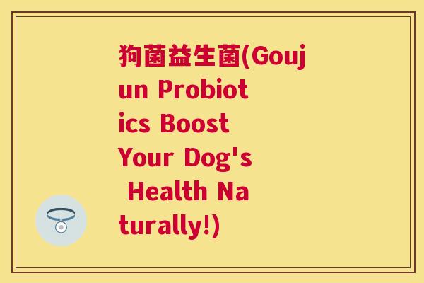 狗菌益生菌(Goujun Probiotics Boost Your Dog's Health Naturally!)