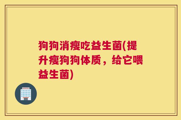 狗狗消瘦吃益生菌(提升瘦狗狗体质，给它喂益生菌)