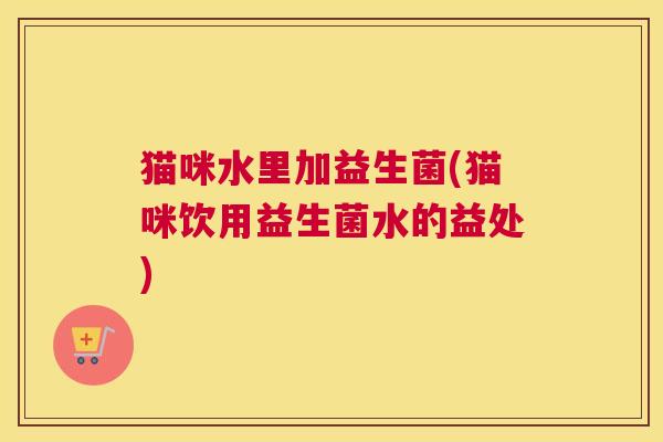 猫咪水里加益生菌(猫咪饮用益生菌水的益处)