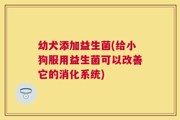 幼犬添加益生菌(给小狗服用益生菌可以改善它的消化系统)