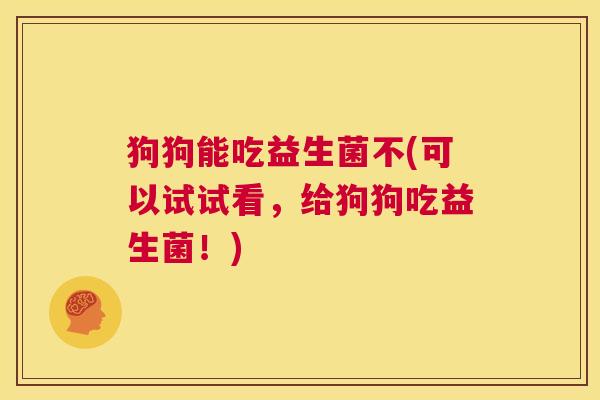 狗狗能吃益生菌不(可以试试看，给狗狗吃益生菌！)