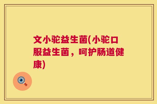 文小驼益生菌(小驼口服益生菌，呵护肠道健康)