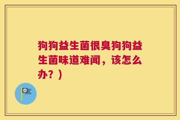 狗狗益生菌很臭狗狗益生菌味道难闻，该怎么办？)