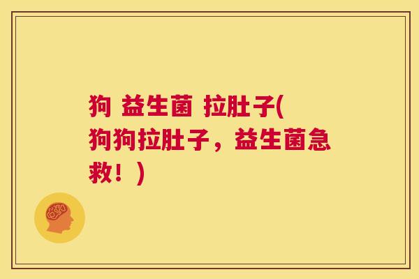 狗 益生菌 拉肚子(狗狗拉肚子，益生菌急救！)