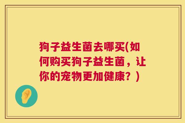 狗子益生菌去哪买(如何购买狗子益生菌，让你的宠物更加健康？)