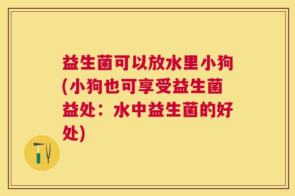 益生菌可以放水里小狗(小狗也可享受益生菌益处：水中益生菌的好处)