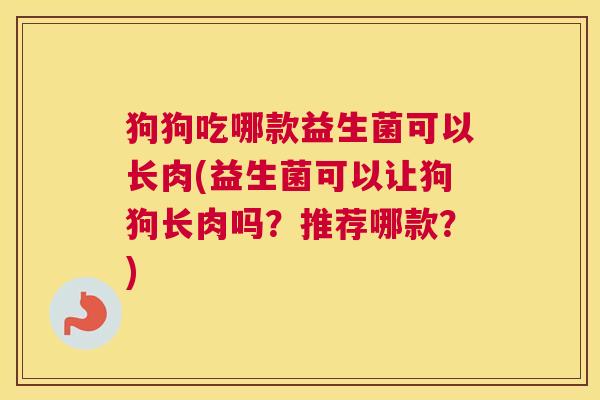 狗狗吃哪款益生菌可以长肉(益生菌可以让狗狗长肉吗？推荐哪款？)