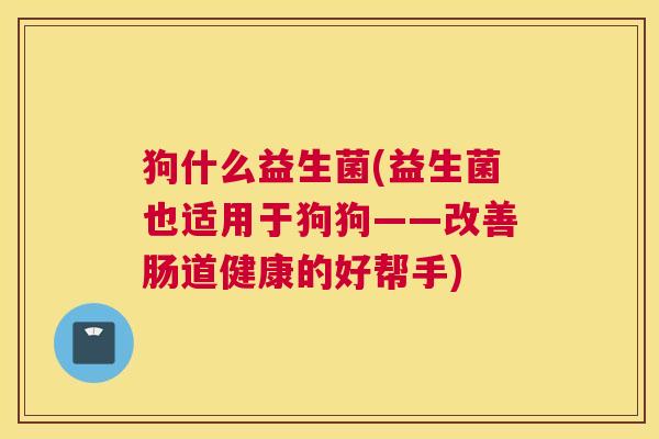 狗什么益生菌(益生菌也适用于狗狗——改善肠道健康的好帮手)