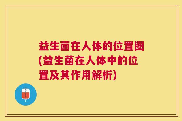 益生菌在人体的位置图(益生菌在人体中的位置及其作用解析)