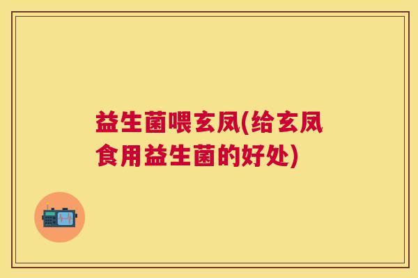 益生菌喂玄凤(给玄凤食用益生菌的好处)