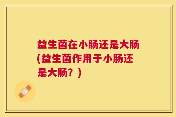 益生菌在小肠还是大肠(益生菌作用于小肠还是大肠？)