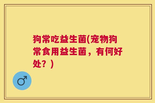 狗常吃益生菌(宠物狗常食用益生菌，有何好处？)