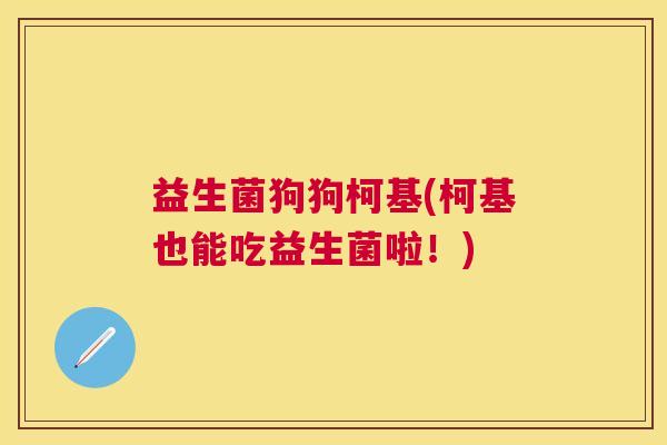 益生菌狗狗柯基(柯基也能吃益生菌啦！)