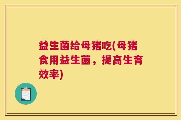 益生菌给母猪吃(母猪食用益生菌，提高生育效率)