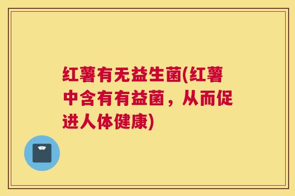 红薯有无益生菌(红薯中含有有益菌，从而促进人体健康)
