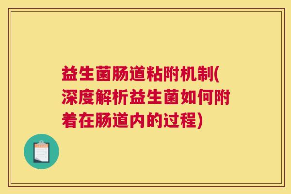 益生菌肠道粘附机制(深度解析益生菌如何附着在肠道内的过程)