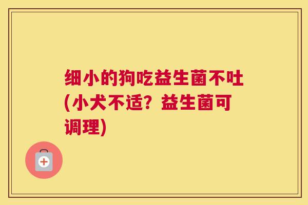 细小的狗吃益生菌不吐(小犬不适？益生菌可调理)