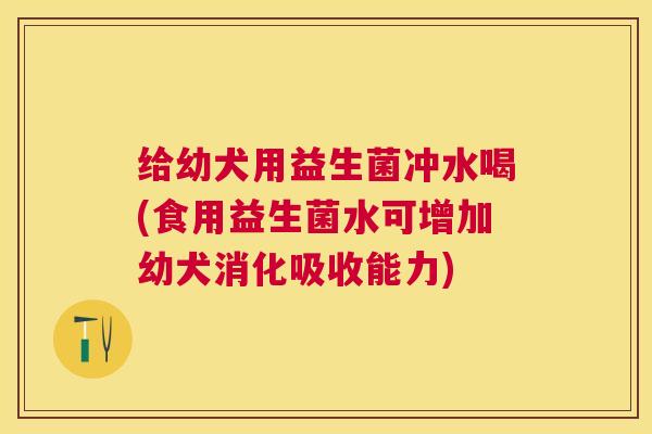 给幼犬用益生菌冲水喝(食用益生菌水可增加幼犬消化吸收能力)