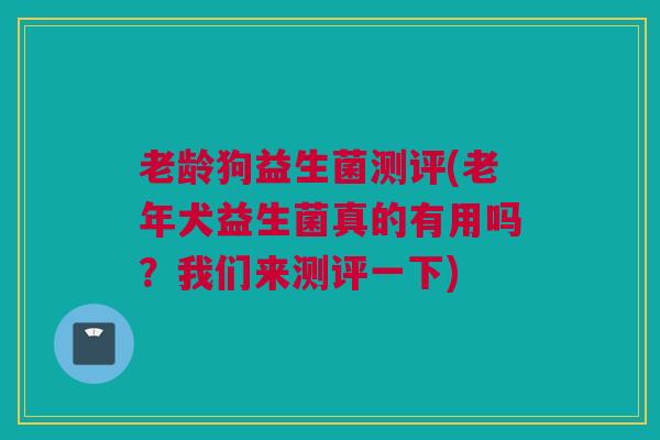 老龄狗益生菌测评(老年犬益生菌真的有用吗？我们来测评一下)