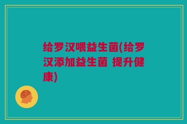 给罗汉喂益生菌(给罗汉添加益生菌 提升健康)