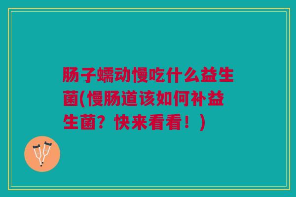 肠子蠕动慢吃什么益生菌(慢肠道该如何补益生菌？快来看看！)