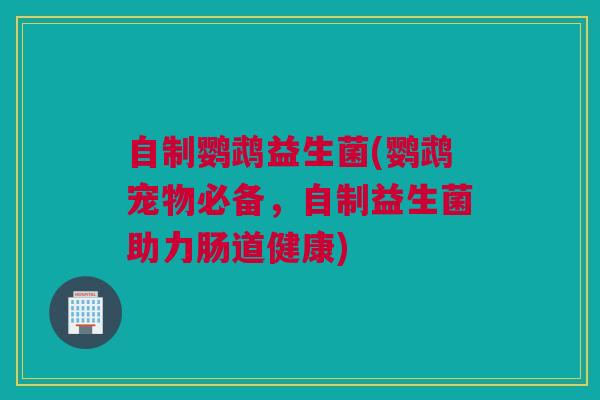 自制鹦鹉益生菌(鹦鹉宠物必备，自制益生菌助力肠道健康)