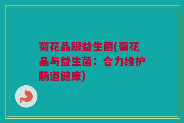 菊花晶跟益生菌(菊花晶与益生菌：合力维护肠道健康)