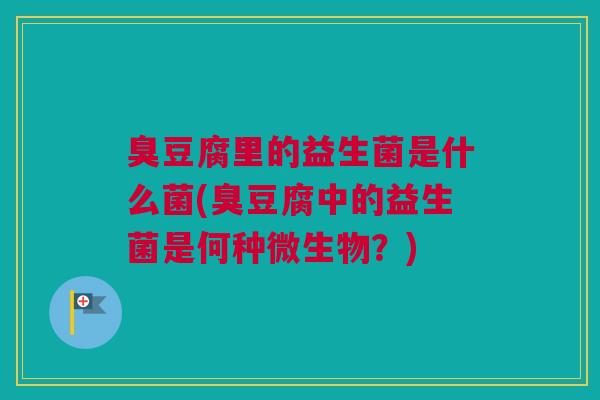 臭豆腐里的益生菌是什么菌(臭豆腐中的益生菌是何种微生物？)