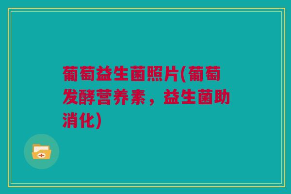 葡萄益生菌照片(葡萄发酵营养素，益生菌助消化)