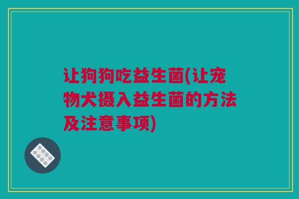让狗狗吃益生菌(让宠物犬摄入益生菌的方法及注意事项)