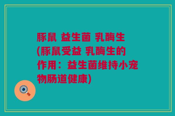 豚鼠 益生菌 乳酶生(豚鼠受益 乳酶生的作用：益生菌维持小宠物肠道健康)