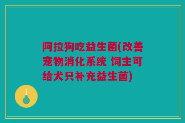 阿拉狗吃益生菌(改善宠物消化系统 饲主可给犬只补充益生菌)