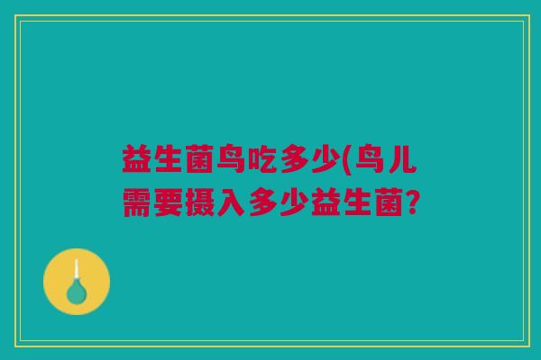 益生菌鸟吃多少(鸟儿需要摄入多少益生菌？