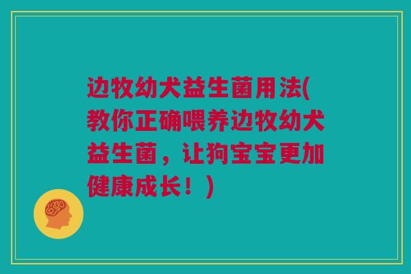边牧幼犬益生菌用法(教你正确喂养边牧幼犬益生菌，让狗宝宝更加健康成长！)