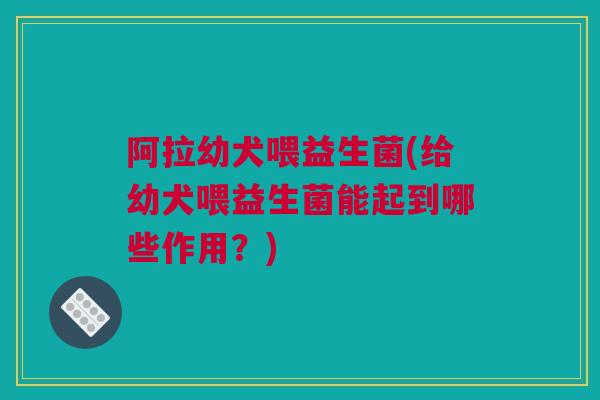 阿拉幼犬喂益生菌(给幼犬喂益生菌能起到哪些作用？)