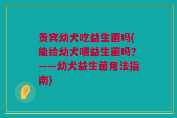 贵宾幼犬吃益生菌吗(能给幼犬喂益生菌吗？——幼犬益生菌用法指南)