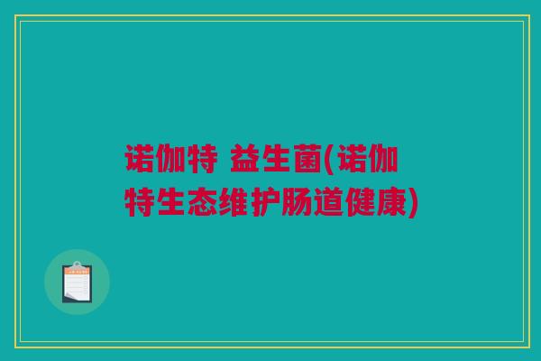 诺伽特 益生菌(诺伽特生态维护肠道健康)
