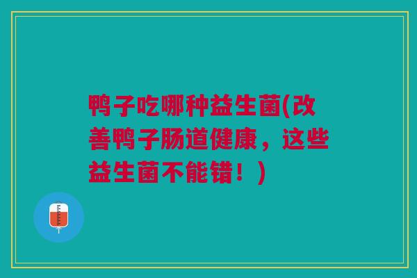 鸭子吃哪种益生菌(改善鸭子肠道健康，这些益生菌不能错！)