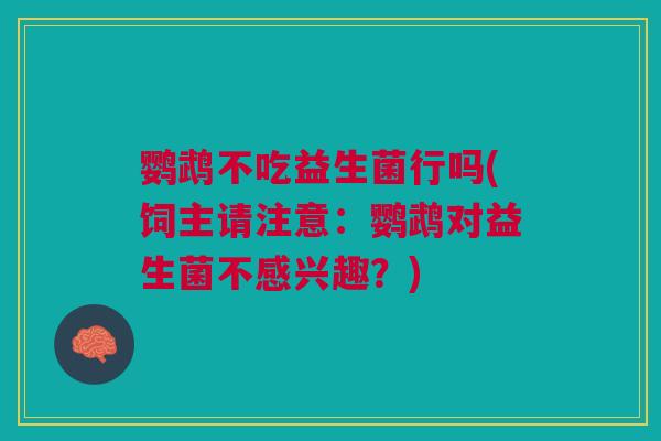 鹦鹉不吃益生菌行吗(饲主请注意：鹦鹉对益生菌不感兴趣？)