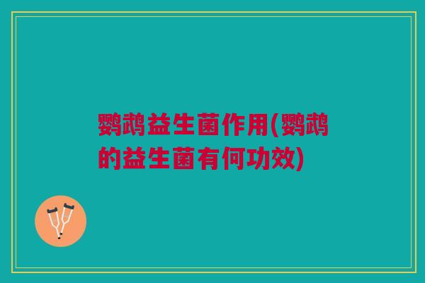 鹦鹉益生菌作用(鹦鹉的益生菌有何功效)