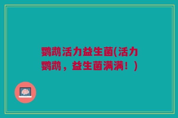 鹦鹉活力益生菌(活力鹦鹉，益生菌满满！)