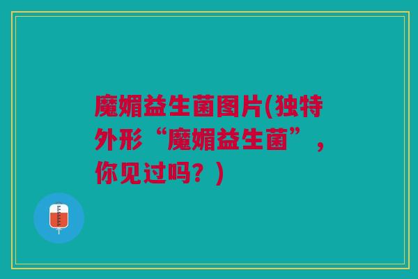 魔媚益生菌图片(独特外形“魔媚益生菌”，你见过吗？)