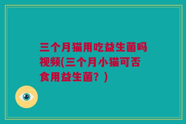 三个月猫用吃益生菌吗视频(三个月小猫可否食用益生菌？)