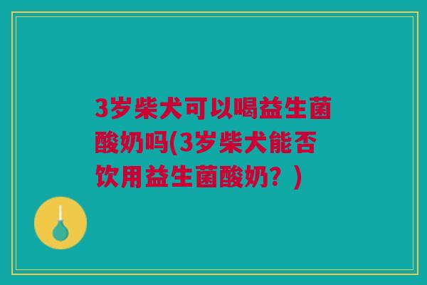 3岁柴犬可以喝益生菌酸奶吗(3岁柴犬能否饮用益生菌酸奶？)